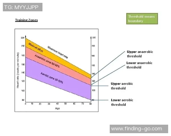 杭州飞盘队灵活性分析揭示团队协作与战术执行的关键因素