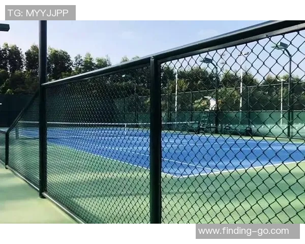 西安网球队的阵地战解析与发展趋势探讨